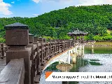 輪播圖片
