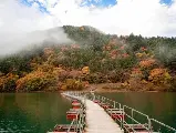 輪播圖片
