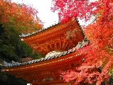 輪播圖片