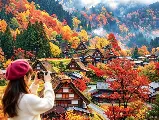 輪播圖片