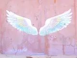 輪播圖片