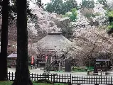 輪播圖片