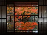 輪播圖片