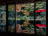 輪播圖片
