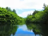 輪播圖片