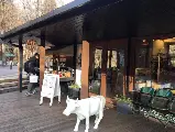 輪播圖片