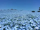 輪播圖片