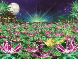 輪播圖片
