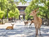 輪播圖片