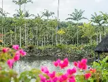 輪播圖片