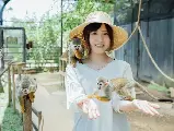 輪播圖片