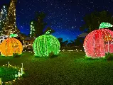 輪播圖片