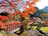 輪播圖片