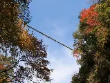 輪播圖片