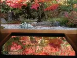輪播圖片
