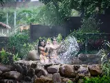 輪播圖片