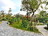 輪播圖片