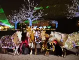輪播圖片