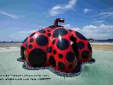 輪播圖片