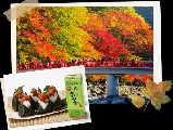 輪播圖片