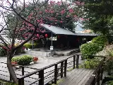 輪播圖片