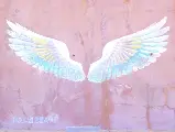 輪播圖片