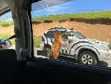 輪播圖片