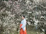 輪播圖片