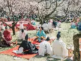 輪播圖片