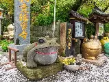 輪播圖片