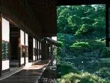 輪播圖片