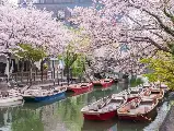 輪播圖片