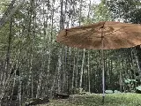 輪播圖片