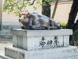輪播圖片