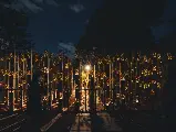 輪播圖片