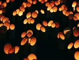 輪播圖片