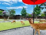 輪播圖片