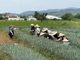 輪播圖片