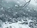 輪播圖片