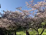 輪播圖片