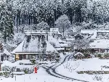 輪播圖片