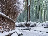 輪播圖片