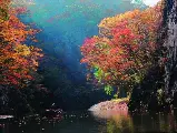輪播圖片