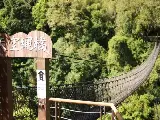 輪播圖片