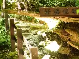 輪播圖片
