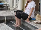 輪播圖片