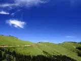 輪播圖片