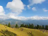 輪播圖片