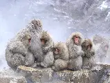 輪播圖片
