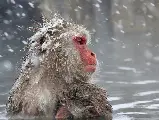 輪播圖片